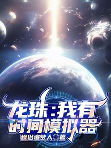 龙珠:我有时间模拟器